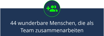 44 wunderbare Menschen, die als Team zusammenarbeiten