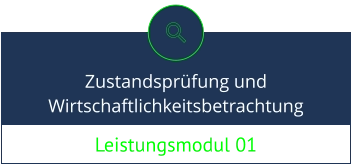 Leistungsmodul 01 Zustandsprüfung und Wirtschaftlichkeitsbetrachtung