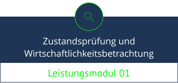 Leistungsmodul 01 Zustandsprüfung und Wirtschaftlichkeitsbetrachtung